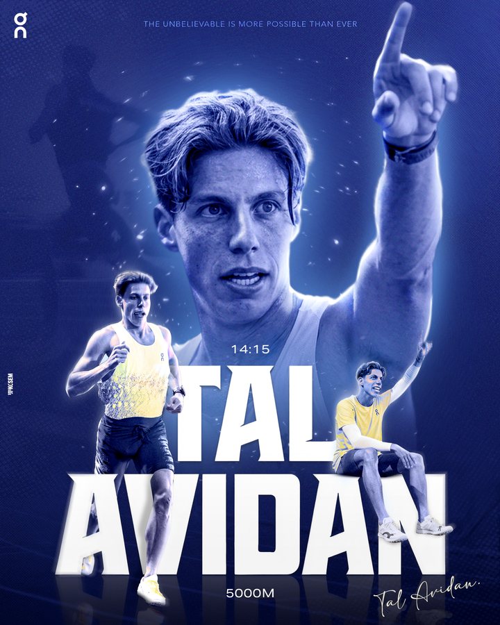 Tal Avidan poster made by RAKIA